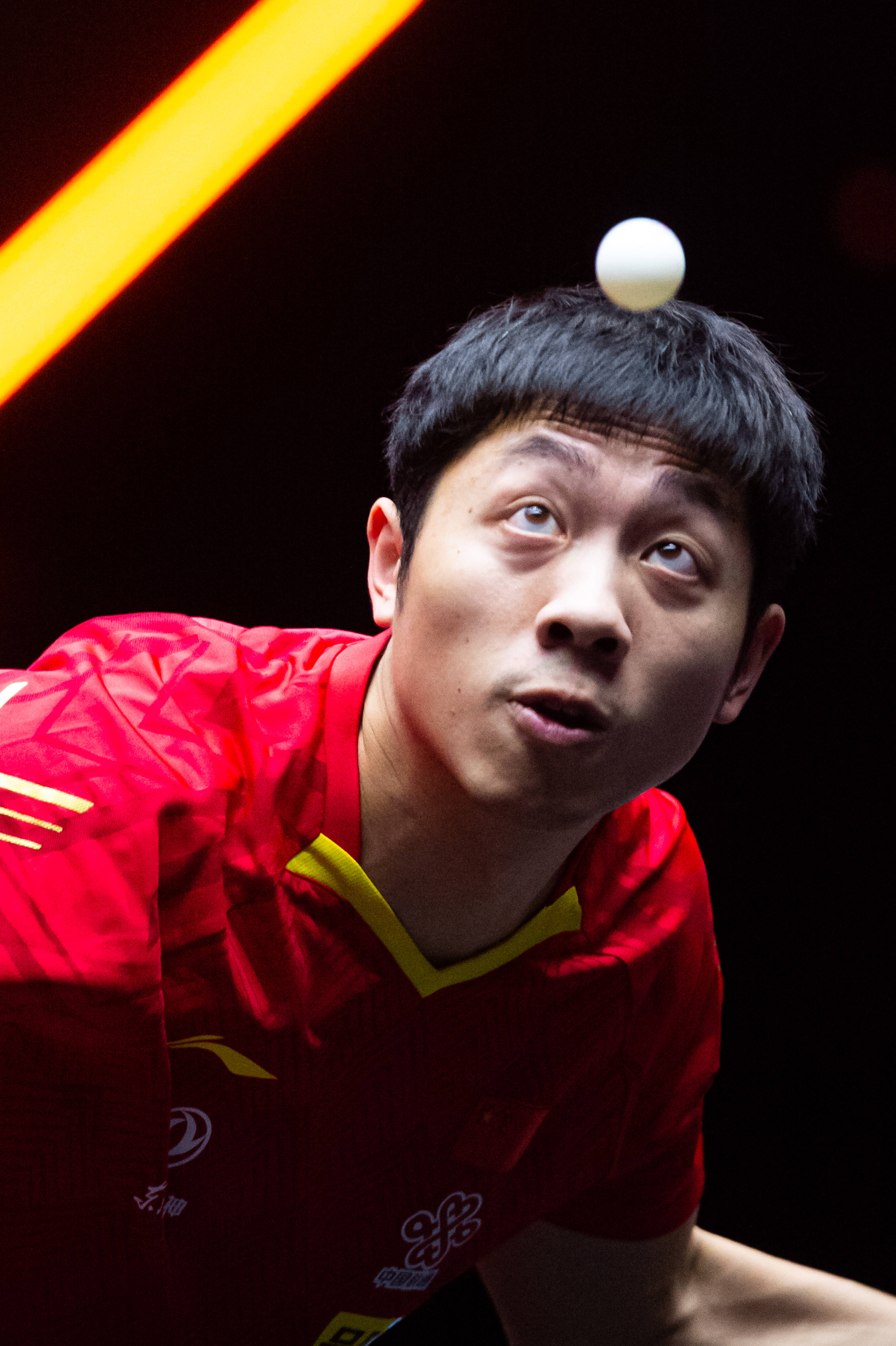 比利时乒乓球队横扫德国乒乓球队,许昕惊艳世界的简单介绍 比利时乒乓球队横扫德国乒乓球队,许昕惊艳世界的简单介绍